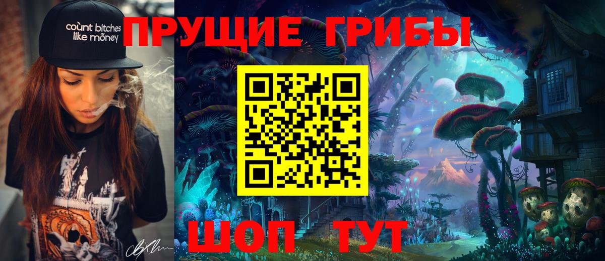 Галлюциногенные грибы Psilocybe  Вход с VPN  Нефтекумск 